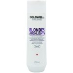 Goldwell Dualsenses Blondes & Highlights Shampoo 250 ml – Hledejceny.cz