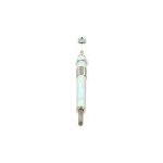 BOSCH žhavicí svíčka 0 250 202 065 – Hledejceny.cz