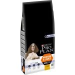 Purina Pro Plan Medium & Large Adult 7+ Age Defence kuře 14 kg – Sleviste.cz