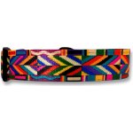 PafDog Designový obojek pro psy – Zbozi.Blesk.cz