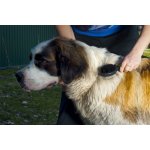 JK ANIMALS Oboustranný kartáč malý s kuličkami a štětinami 20 x 6 cm – Zboží Dáma