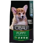 Cibau Dog Puppy Medium 2 x 12 kg – Hledejceny.cz