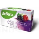 Biogena Fantastic Tea malina & ostružina 20 x 2,5 g