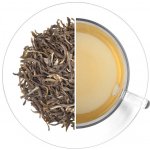 Oxalis Čína China Jasmin s květy 70 g – Hledejceny.cz