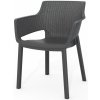 Zahradní židle a křeslo KETER EVA zahradní židle, 57,7 x 62,5 x 79 cm, grafit 17210109