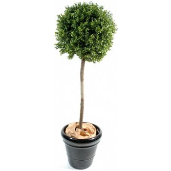 Umělý keř Zimostráz - Buxus na kmínku, 110cm