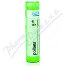 POLLENS POR 5CH GRA 1X4G