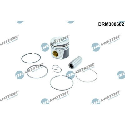 Dr.Motor Automotive DRM300602 – Hledejceny.cz