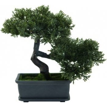 Bonsai, 21cm