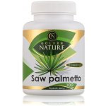 Golden Nature Saw Palmetto 45% mastných kyselin 100 kapslí – Hledejceny.cz