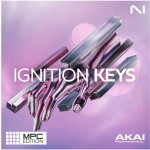 Native Instruments Ignition Keys MPC Edition (el. licence) – Hledejceny.cz