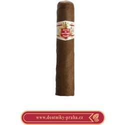 Hoyo de Monterrey Petit Robusto