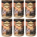 Carnilove Wild Meat Salmon & Turkey Puppies 6 x 400 g – Sleviste.cz