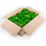 Dekorační stabilizovaný mech kopečkový 2,7kg, lesní zelený – Hledejceny.cz