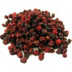 Zelené Drahokamy Schizandra Klanopraška čínská plod 100 g – Sleviste.cz