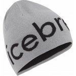 Icebreaker beanie Alloy/Black – Hledejceny.cz