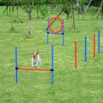 Goleto Agility překážky pro psy sada 3 typy – Zboží Dáma