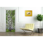 AG Design FTNV-2896 vliesová fototapeta Břízy rozměry 90 x 202 cm – Zboží Mobilmania