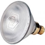 Philips KERBL Infra žárovka 100W úsporná čirá – Zboží Živě
