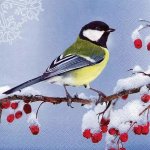 ti-flair Ubrousek 33x33cm Sýkorka na zasněžené větvi s bobulemi – Zboží Dáma ti-flair Ubrousek 33x33cm Sýkorka na zasněžené větvi s bobulemi – Zboží Dáma