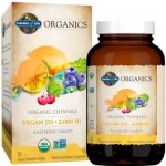Garden of Life Mykind Organics Chewable Vegan D3 s příchutí maliny a citrónu 30 tablet – Hledejceny.cz