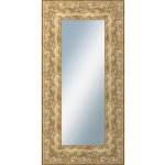 DANTIK KŘÍDLO 50x100 cm zdobné zlaté – Hledejceny.cz