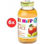 HiPP BIO Jablečno-hroznová 6 x 200 ml – Hledejceny.cz