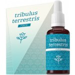 Tribulus terestris Forte 30 ml – Hledejceny.cz