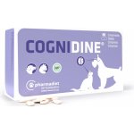 OPKO Health Cognidine 60 tbl. – Zboží Dáma