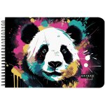 Oxybag Skicák A3 Panda 40 listů 190 g/m2 6-97224 – Hledejceny.cz