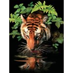 Royal Langnickel Malování podle čísel 22 x 30 cm Tygr u vody – Hledejceny.cz