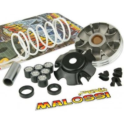 Variátor Malossi Multivar 2000, Piaggio M.519019 – Zboží Mobilmania