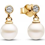 Pandora 263153C01 – Hledejceny.cz