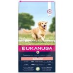 Eukanuba Mature&Senior Large Lamb & Rice 12 kg – Hledejceny.cz