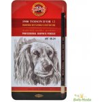 Koh-i-Noor 1900 Toison D´or 8B 2H – Zboží Živě