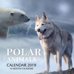 Polar Animals 16 Month 2019 – Sleviste.cz