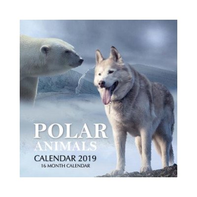 Polar Animals 16 Month 2019 – Sleviste.cz