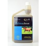 Horse Master Pulmochron 1 l – Hledejceny.cz