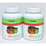 MycoMedica Chaga 2 x 90 kapslí – Hledejceny.cz