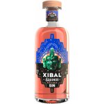 Xibal Equinox 40% 0,7 l (holá láhev) – Sleviste.cz
