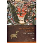 Archeologická tajemství Mladé Boleslavi Waldhauser Jiří – Sleviste.cz