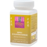 TCM herbs patentní medicína Nápoj ze zlatého kořene 100 g – Hledejceny.cz