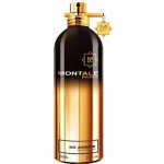 Montale So Amber parfémovaná voda unisex 100 ml – Hledejceny.cz