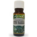 Saloos Vonný olej do aromalamp Zimní kouzlo 10 ml – Hledejceny.cz