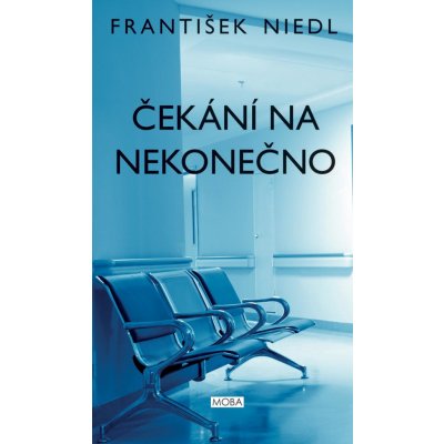 Čekání na nekonečno - František Niedl