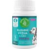 Vitamíny pro psa Zelená Země CBD kloubní výživa pro psy 60 ks
