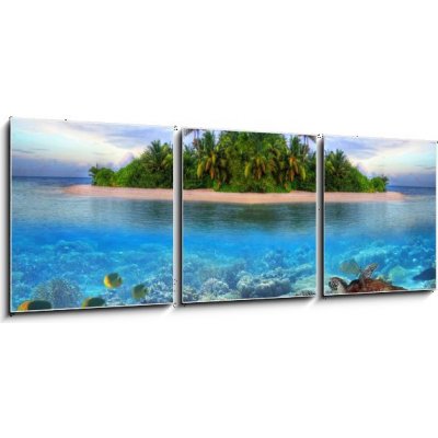 Obraz 3D třídílný - 150 x 50 cm - Marine life at tropical island of Maldives Mořský život na tropickém ostrově Maledivy – Zboží Mobilmania