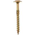 DOMAX Konstrukční vrut CT s talířovou hlavou TORX T25 5 x 60 mm pozinkovaný 200 ks – Hledejceny.cz