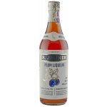 R. Jelínek Plum Liquer 18% 0,7 l (holá láhev) – Zboží Dáma