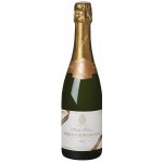 Crémant de Bourgogne André Delorme Terrois Minéraux Brut 12% 0,75 l (holá láhev) – Zboží Mobilmania